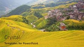  Presentation with rice terraces - Slide deck consisting of longsheng-rice-terraces-dragon-s background and a gold colored foreground