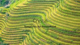 Presentation with rice terraces - PPT theme with longsheng-rice-terraces-dragon-s background and a yellow colored foreground