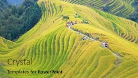  Presentation with rice terraces - Colorful slides enhanced with longsheng-rice-terraces-dragon-s backdrop and a gold colored foreground
