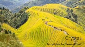  Presentation with rice terraces - Presentation theme having longsheng-rice-terraces-dragon-s background and a gold colored foreground