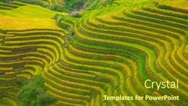  Presentation with rice terraces - PPT theme featuring longsheng rice terraces dragon's backbone also known as longji rice terraces are located in longsheng county about 100 kilometres 62 mi from guilin guangxi china background and a tawny brown colored foreground