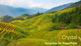  Presentation with rice terraces - Cool new presentation theme with longsheng rice terraces dragon's backbone also known as longji rice terraces are located in longsheng county about 100 kilometres 62 mi from guilin guangxi china backdrop and a tawny brown colored foreground