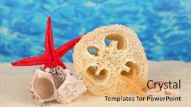  Presentation with color - Slides consisting of loofah-on-color-background background and a lemonade colored foreground