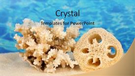  Presentation with color - Presentation with loofah-on-color-background background and a light blue colored foreground