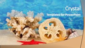  Presentation with color - Colorful theme enhanced with loofah-on-color-background backdrop and a teal colored foreground