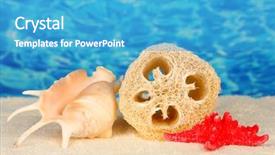  Presentation with color - Theme consisting of loofah-on-color-background background and a teal colored foreground