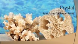  Presentation with color - PPT layouts enhanced with loofah-on-color-background background and a light blue colored foreground