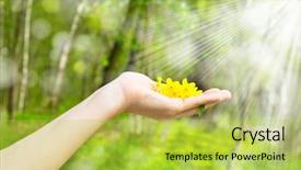  Presentation with wood - PPT theme featuring look good feel good - buttercup in a hand background and a yellow colored foreground