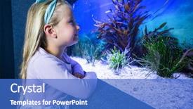  Presentation with fish aquarium - Audience pleasing presentation design consisting of looking at fish in tank backdrop and a teal colored foreground