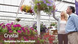  Presentation with flower - Slides featuring looking at hanging flower basket background and a  colored foreground