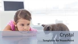  Presentation with milk - Amazing presentation theme having looking at kitten drinking milk backdrop and a light blue colored foreground