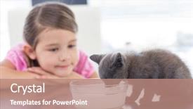  Presentation with hello kitty cute little kitten - Cool new presentation theme with looking at kitten drinking milk backdrop and a coral colored foreground