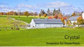  Presentation with colonial - Beautiful presentation featuring looking colonial style dairy farm backdrop and a gold colored foreground