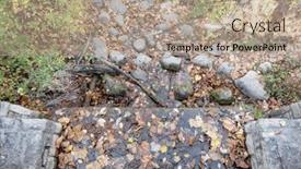  Presentation with leaves - PPT layouts featuring looking-down-at-water and a  colored foreground