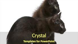  Presentation with two black women - PPT theme with looking in the same direction background and a wine colored foreground