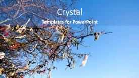  Presentation with fairy - Presentation theme featuring looking-up-at-fairy-tree background and a teal colored foreground