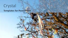  Presentation with fairy - Presentation theme enhanced with looking-up-at-fairy-tree background and a light blue colored foreground