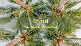  Presentation with coconut - Presentation theme having coconut palm trees against blue background and a tawny brown colored foreground