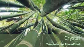  Presentation with green-nature - Colorful PPT layouts enhanced with looking-up-in-green-bamboo backdrop and a tawny brown colored foreground