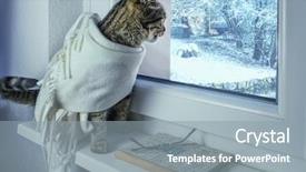  Presentation with cat - PPT theme enhanced with looks out the window winter background and a gray colored foreground