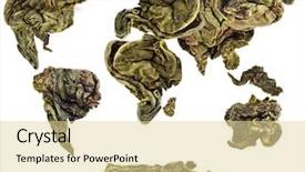  Presentation with loose leaf tea - Slide set with loose leaf - map world of green tea background and a blonde colored foreground