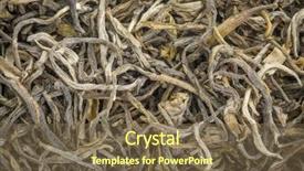  Presentation with loose leaf tea - Amazing PPT layouts having loose leaf yunnan mao backdrop and a  colored foreground