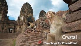  Presentation with thai temple - Slides enhanced with are famous thai tourist travel background and a violet colored foreground