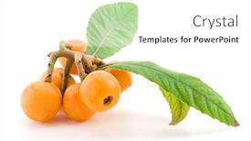  Presentation with leaves - PPT theme having loquat-fruit-with-leaves-isolated background and a white colored foreground