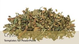  Presentation with inflammation - Presentation consisting of loquat-leaf-herb-chinese-herbal background and a yellow colored foreground