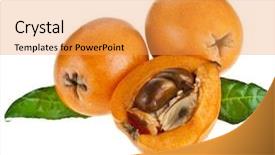  Presentation with fruit - Amazing PPT layouts having loquat-medlar-fruit-isolated backdrop and a yellow colored foreground