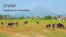  Presentation with tamil - Cool new PPT layouts with tiruvanamalai tamil nadu india backdrop and a light blue colored foreground