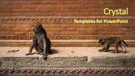  Presentation with kathmandu - Audience pleasing PPT theme consisting of pashupatinath temple in kathmandu nepal backdrop and a coral colored foreground