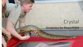  Presentation with green los angeles - 