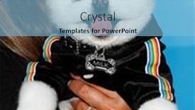  Presentation with movie theater - Presentation theme consisting of los-angeles-aug-10-milk background and a light blue colored foreground