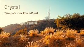  Presentation with promotion - Presentation theme with turtle in nature in the park in nature background and a mint green colored foreground