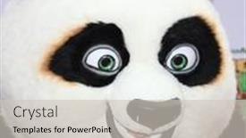  Presentation with january - Presentation theme with los-angeles-jan-16-po background and a soft green colored foreground