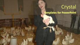  Presentation with january - Slide deck featuring los-angeles-jan-30-jodi background and a tawny brown colored foreground