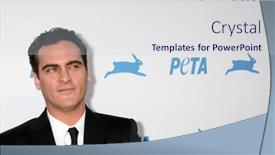  Presentation with gala - 