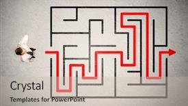  Presentation with lost in the maze - Beautiful theme featuring lost businessman found the way backdrop and a  colored foreground