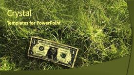  Presentation with dollar - Presentation featuring lost money - close up shot of one background and a tawny brown colored foreground