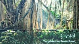  Presentation with lost people matter to god - Colorful presentation enhanced with lost town in jungle photo backdrop and a  colored foreground