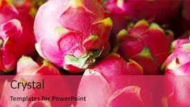  Presentation with tropical fruit - Beautiful slides featuring lot of dragon fruits backdrop and a red colored foreground