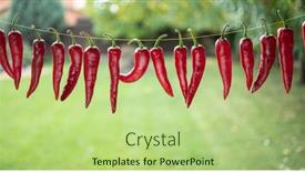  Presentation with chili - Theme consisting of lot-of-fresh-red-chilli background and a  colored foreground