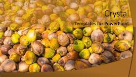  Presentation with coconut - Slides with coconuts at the coconut farm background and a gold colored foreground