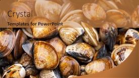  Presentation with clam - Slide deck with lots-of-fresh-the-clam background and a gold colored foreground