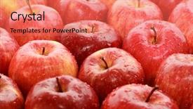 Presentation with drop - PPT layouts with lots of red ripe apple background and a coral colored foreground