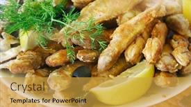  Presentation with sea - Cool new presentation theme with lots-of-small-fried-sea backdrop and a  colored foreground