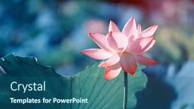  Presentation with lotus - Cool new slides with lotus-flower-and-lotus-flower backdrop and a ocean colored foreground