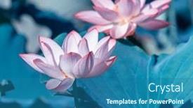  Presentation with lotus - Theme featuring lotus-flower-blooming-in-summer background and a ocean colored foreground