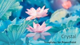  Presentation with lotus - Presentation with lotus-flower-blooming-in-summer background and a teal colored foreground
